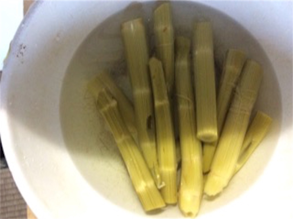 f:id:yurukkosae:20170519061034j:image f:id:yurukkosae:20170519061034j:image