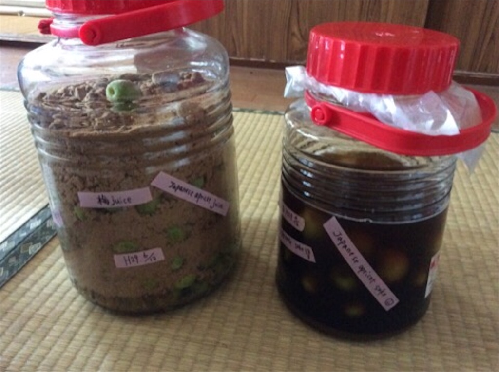 f:id:yurukkosae:20170614201106j:image f:id:yurukkosae:20170614201106j:image