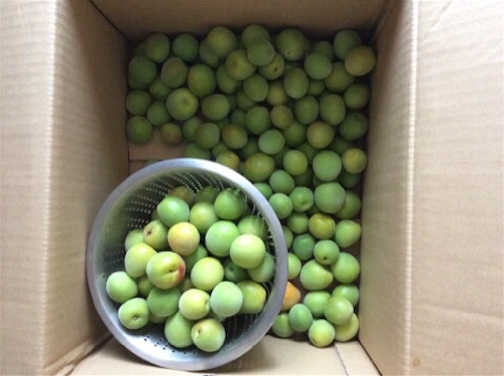 f:id:yurukkosae:20170614201126j:image f:id:yurukkosae:20170614201126j:image