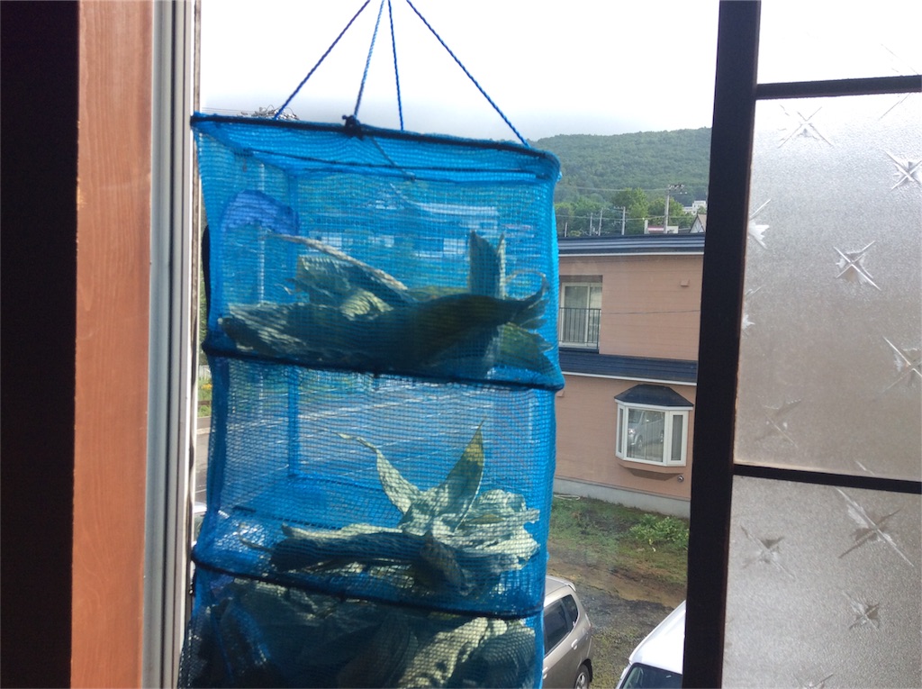 f:id:yurukkosae:20170801081322j:image f:id:yurukkosae:20170801081322j:image