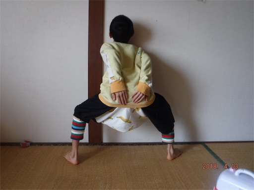 f:id:yurukkosae:20180427044529j:image