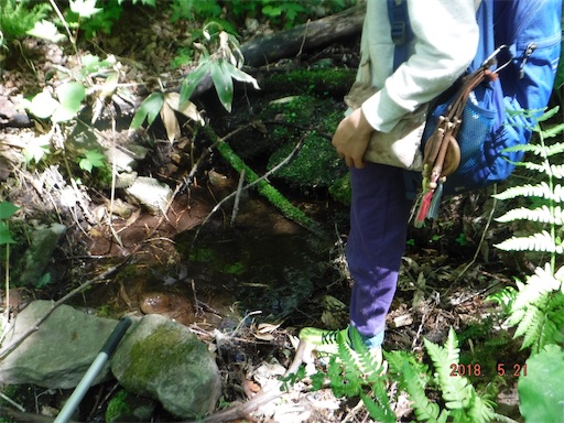 f:id:yurukkosae:20180523060942j:image f:id:yurukkosae:20180523060942j:image