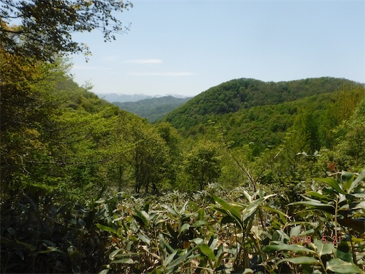 f:id:yurukkosae:20180523061247j:image f:id:yurukkosae:20180523061247j:image