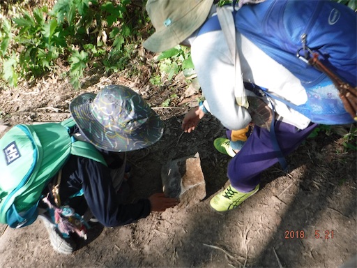 f:id:yurukkosae:20180523065808j:image f:id:yurukkosae:20180523065808j:image