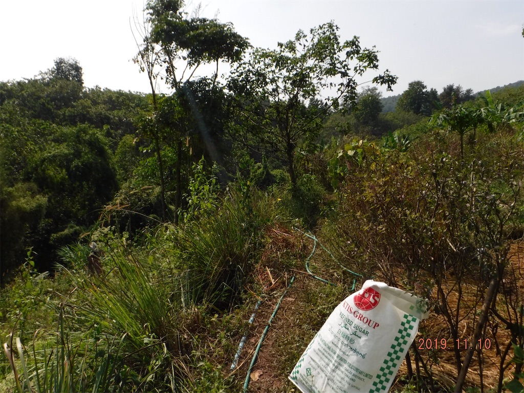 f:id:yurukkosae:20191116150557j:image