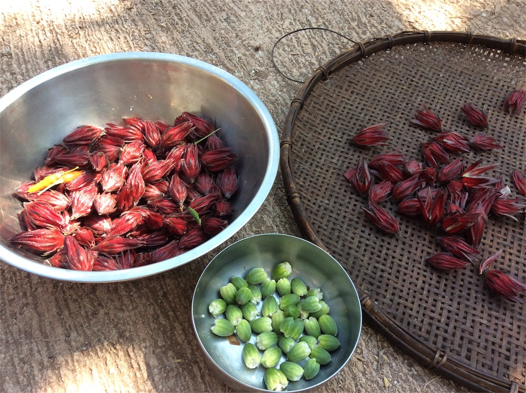 f:id:yurukkosae:20191118071433j:image