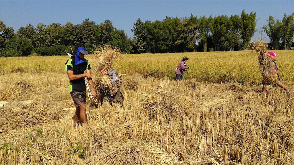 f:id:yurukkosae:20191129061433j:image f:id:yurukkosae:20191129061433j:image