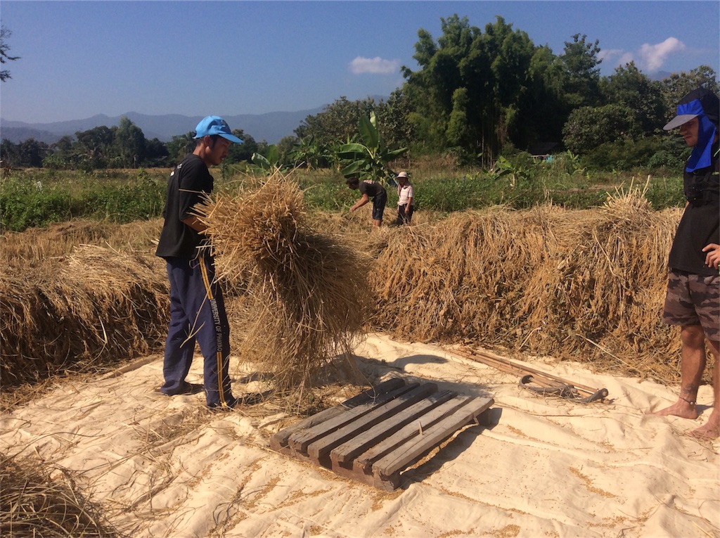 f:id:yurukkosae:20191129061533j:image f:id:yurukkosae:20191129061533j:image