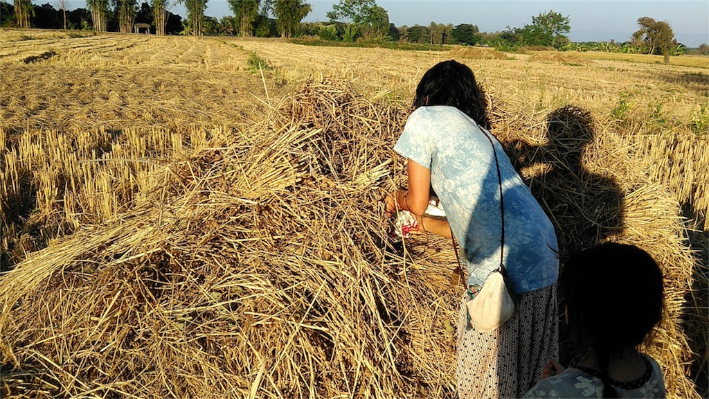 f:id:yurukkosae:20191129062253j:image f:id:yurukkosae:20191129062253j:image