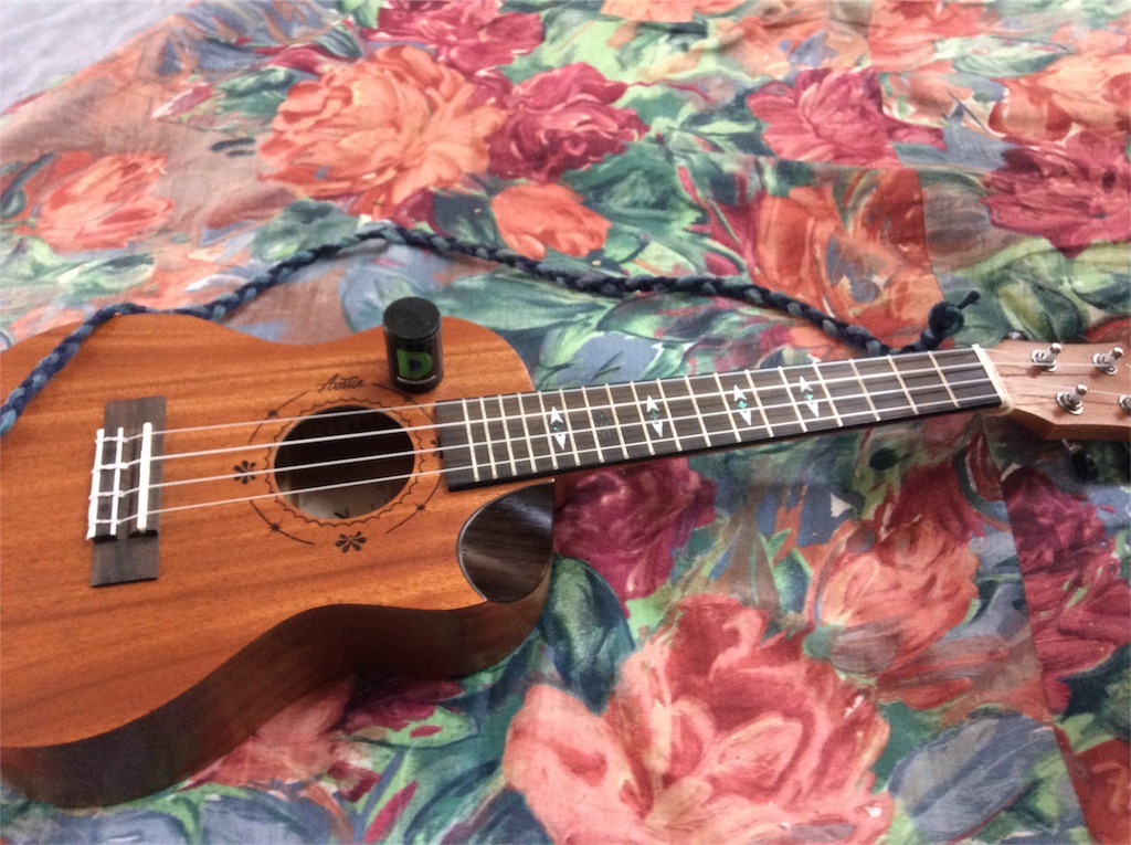 f:id:yurukkosae:20200126105719j:image f:id:yurukkosae:20200126105719j:image