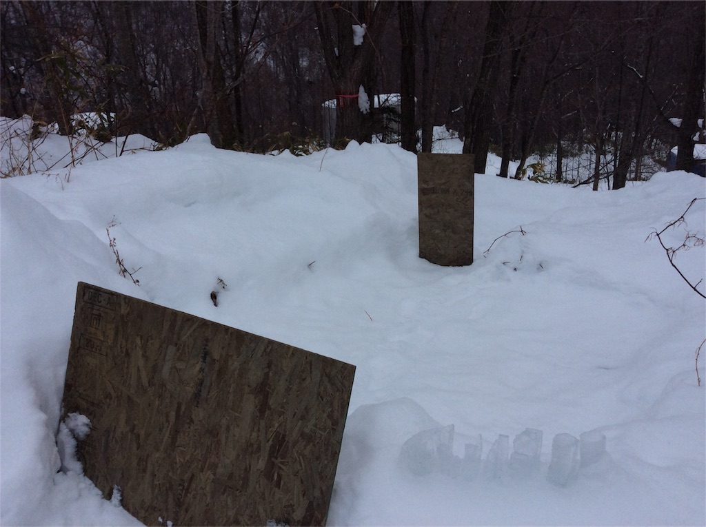 f:id:yurukkosae:20200212073930j:image