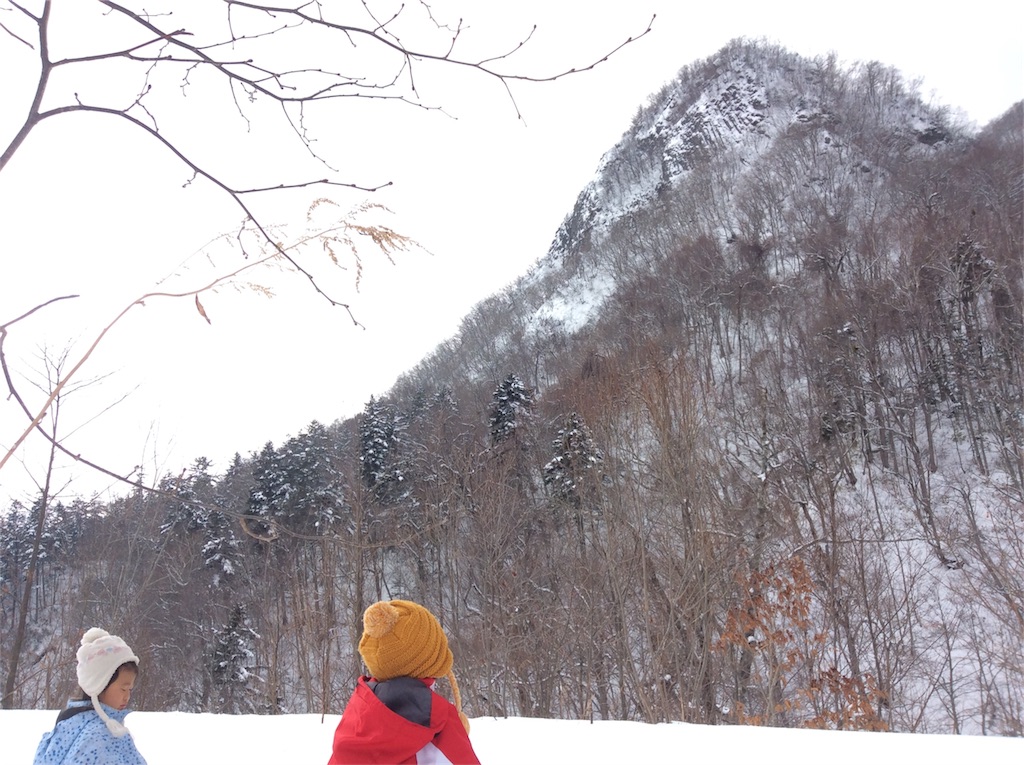 f:id:yurukkosae:20200304185504j:image