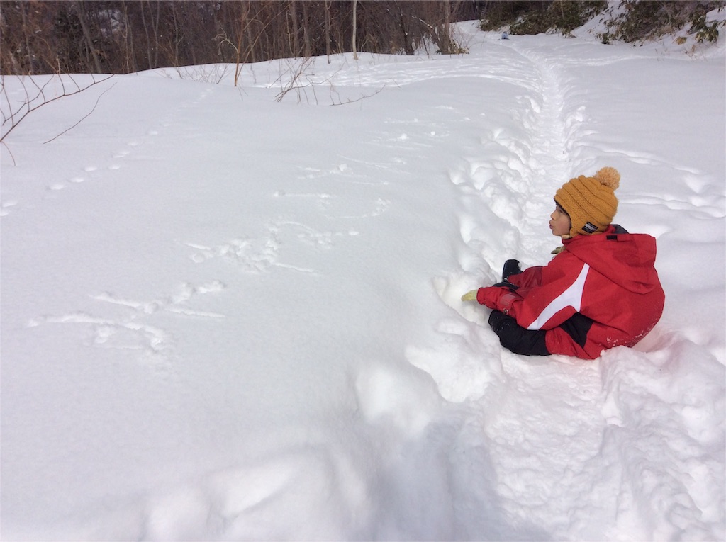 f:id:yurukkosae:20200304190202j:image