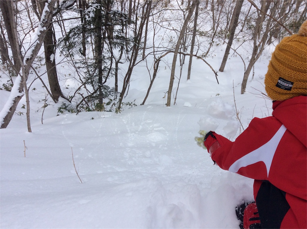 f:id:yurukkosae:20200304190227j:image