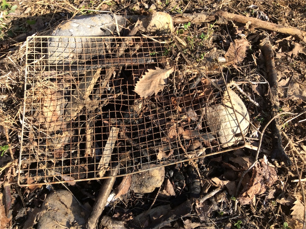 f:id:yurukkosae:20200415161244j:image