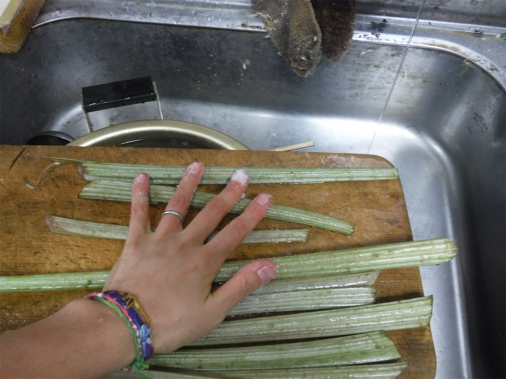 f:id:yurukkosae:20200516171001j:image