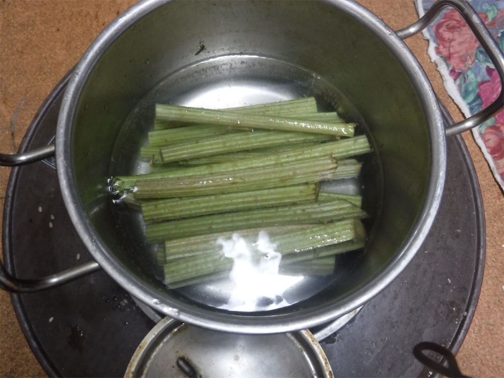 f:id:yurukkosae:20200516171026j:image