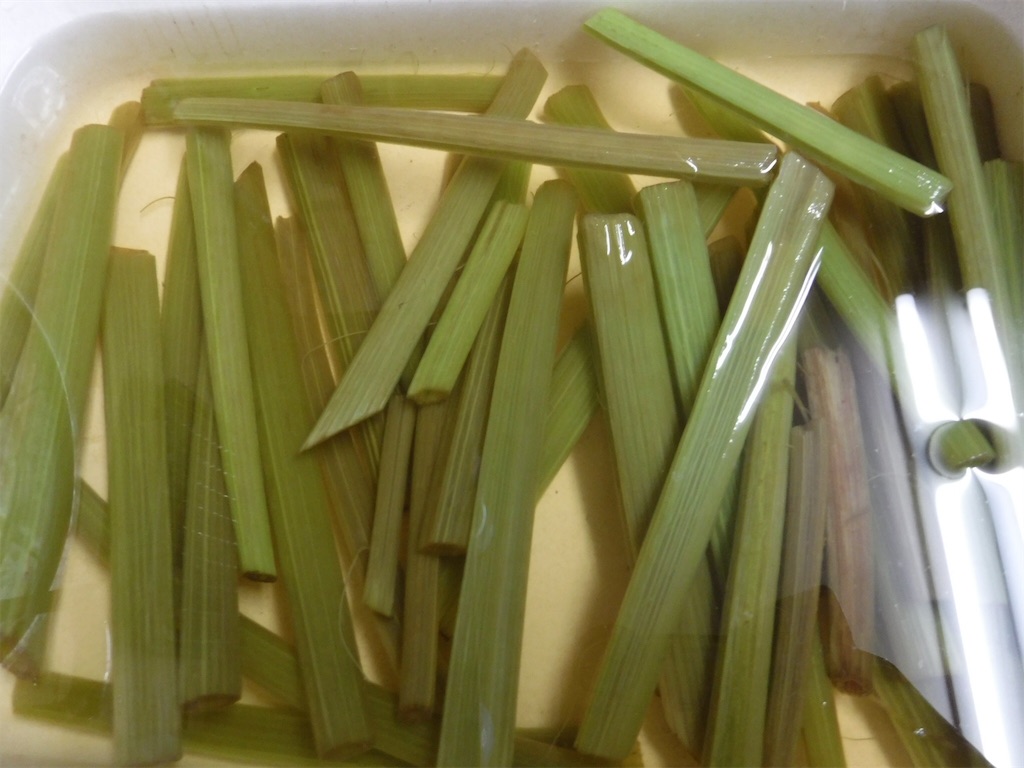 f:id:yurukkosae:20200516171116j:image