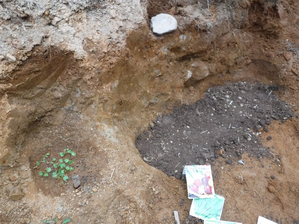 f:id:yurukkosae:20200524052405j:image