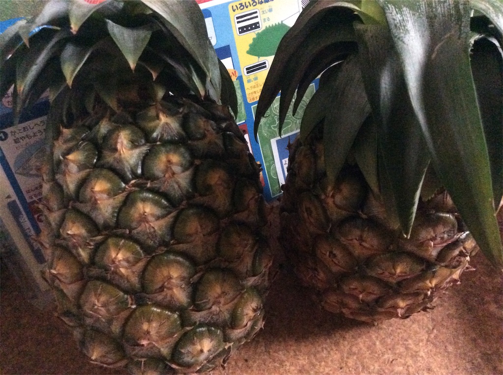 f:id:yurukkosae:20200625065617j:image f:id:yurukkosae:20200625065617j:image