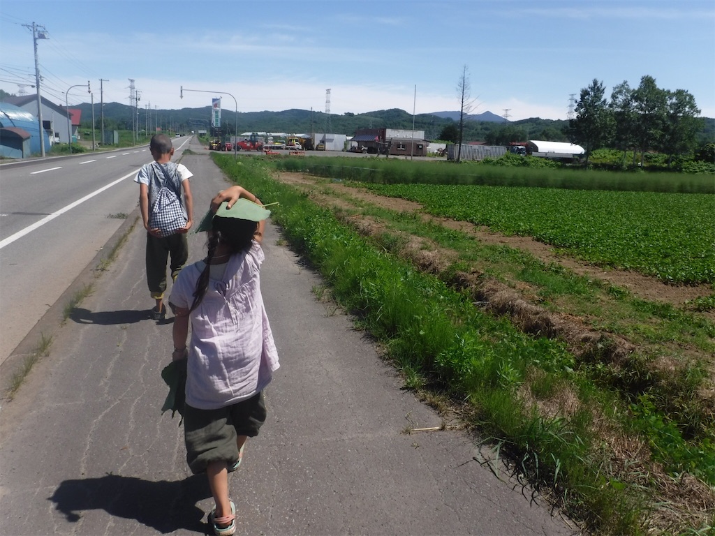 f:id:yurukkosae:20200719163333j:image