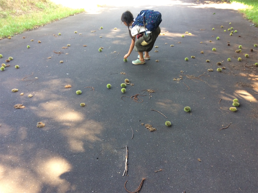 f:id:yurukkosae:20200915084352j:image f:id:yurukkosae:20200915084352j:image