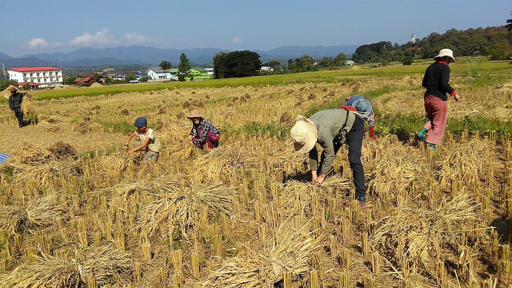 f:id:yurukkosae:20201014061251j:image