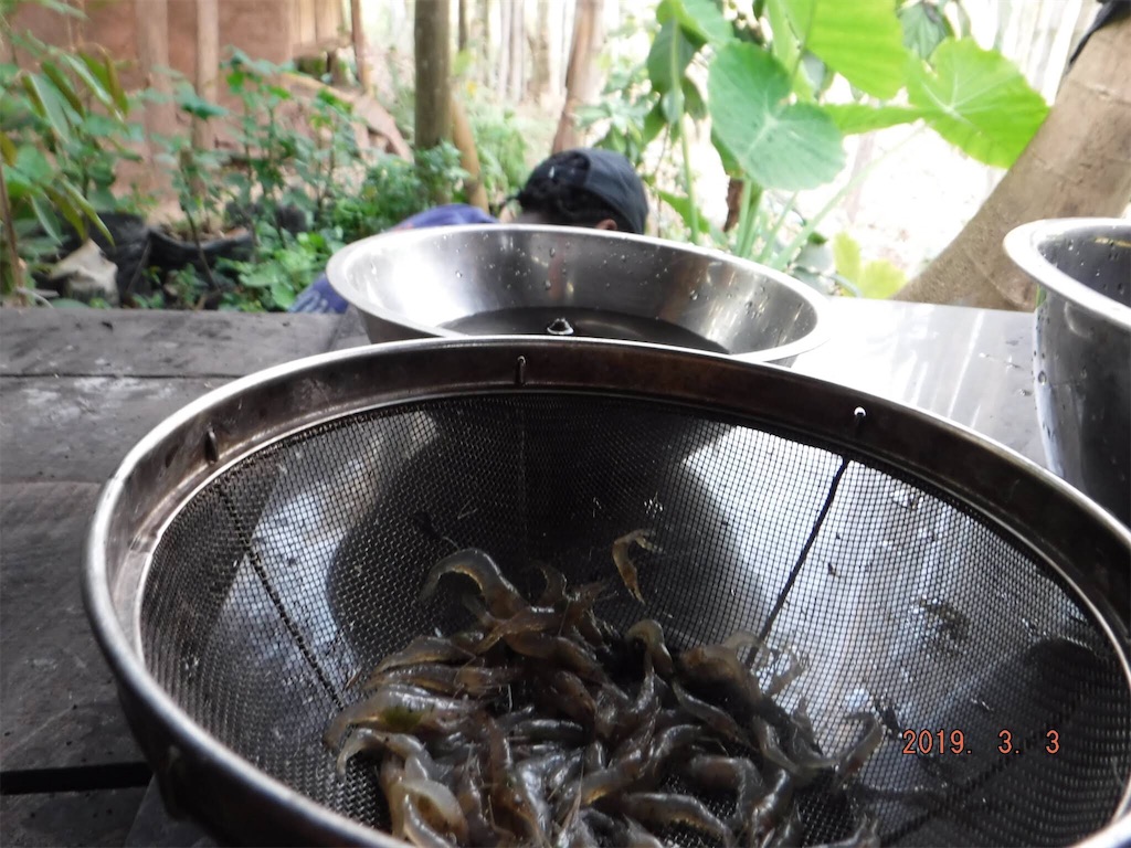 f:id:yurukkosae:20210103061436j:image