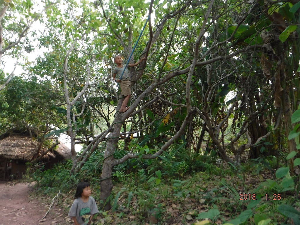 f:id:yurukkosae:20210103062346j:image