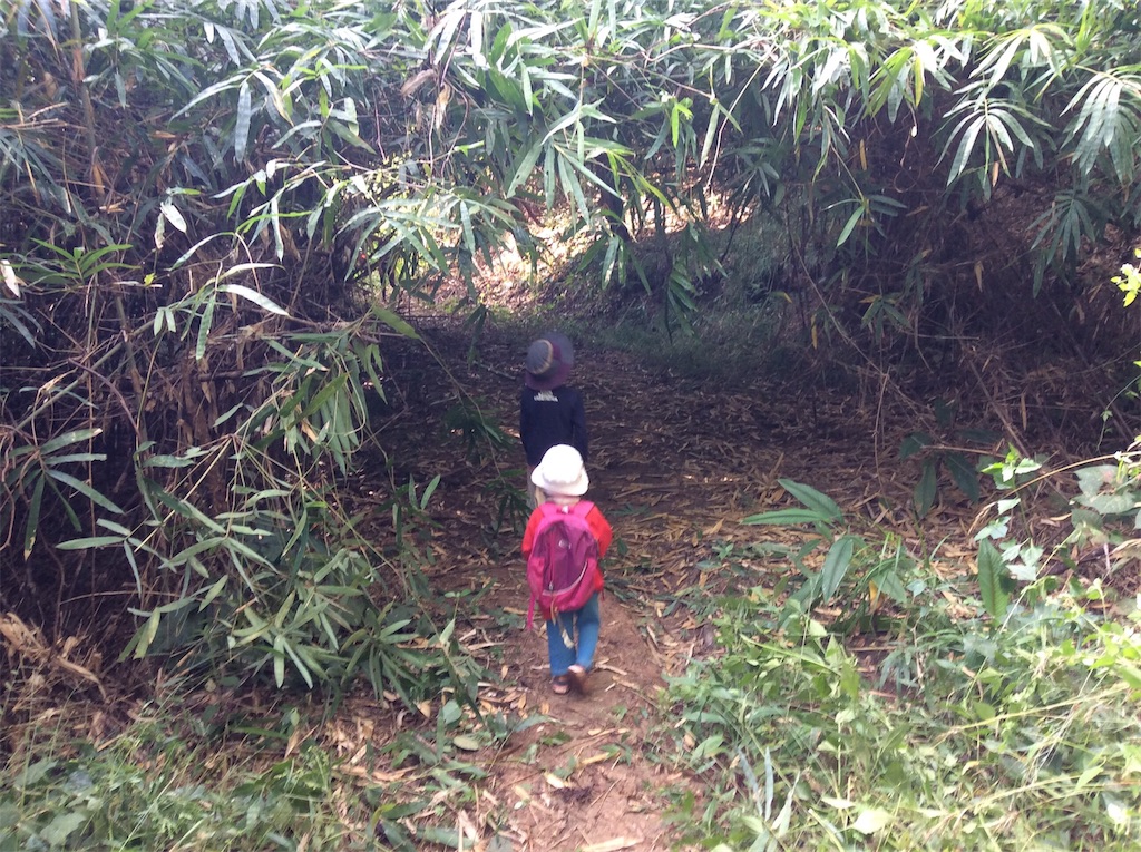 f:id:yurukkosae:20210103062436j:image