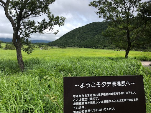 f:id:yurulife50:20190813172738j:image f:id:yurulife50:20190813172738j:image