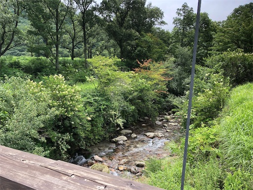 f:id:yurulife50:20190813172742j:image f:id:yurulife50:20190813172742j:image