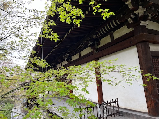 f:id:yurulife50:20240610083016j:image