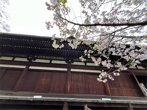 f:id:yurulife50:20240610083019j:image