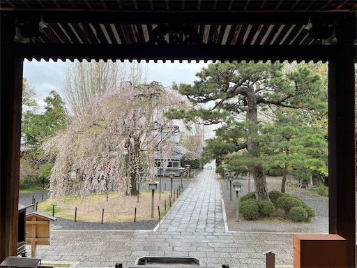 f:id:yurulife50:20240610083027j:image
