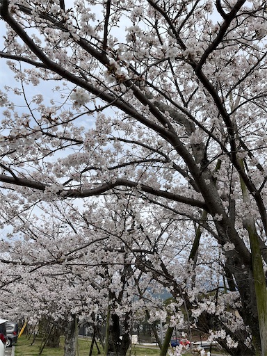 f:id:yurulife50:20250409223012j:image f:id:yurulife50:20250409223012j:image
