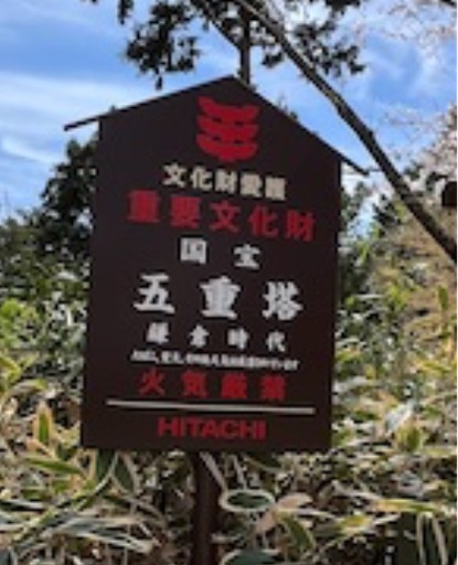 f:id:yurulife50:20250621222706j:image