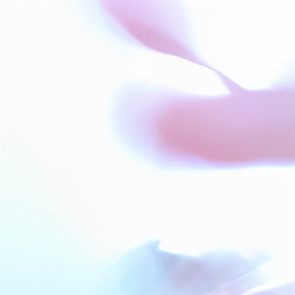 f:id:yurulifelog:20230118164538j:image f:id:yurulifelog:20230118164538j:image