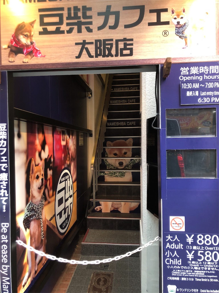 f:id:yurulin:20190318075333j:image