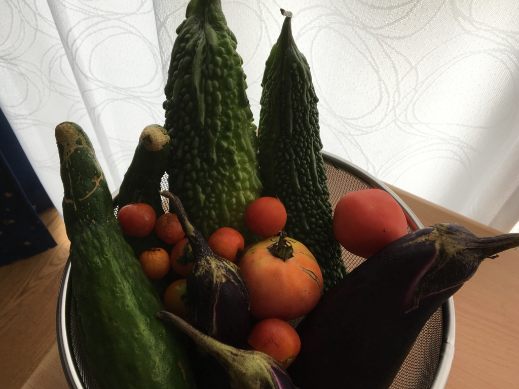 f:id:yurumu:20160912144323j:plain f:id:yurumu:20160912144323j:plain