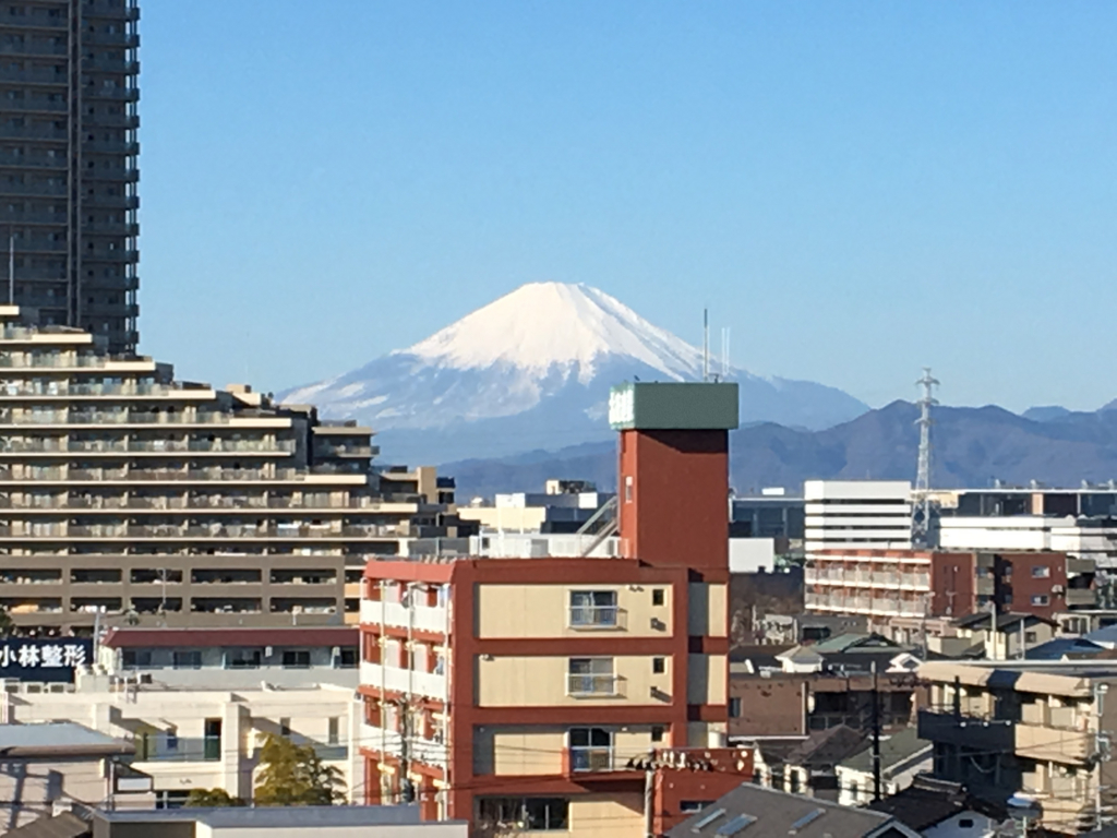 f:id:yurumu:20170101232401j:plain f:id:yurumu:20170101232401j:plain