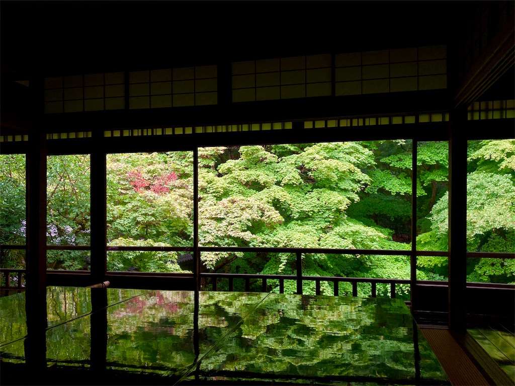 f:id:yurunekokun:20200619144925j:image