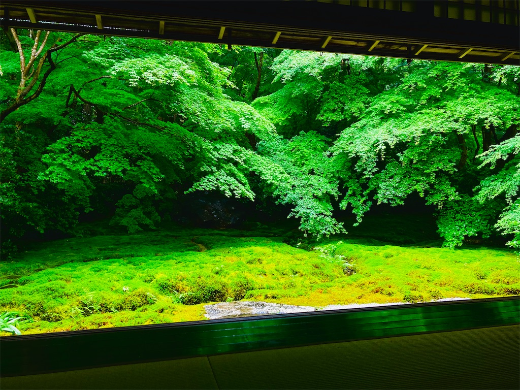 f:id:yurunekokun:20200619145231j:image