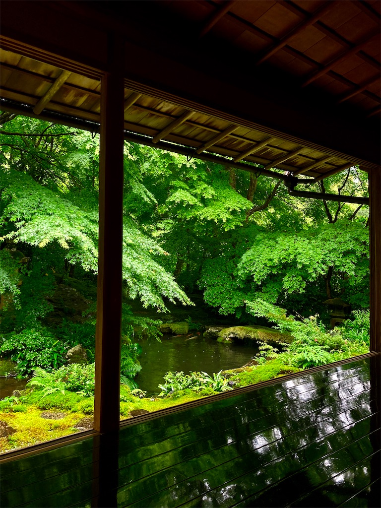f:id:yurunekokun:20200619145431j:image