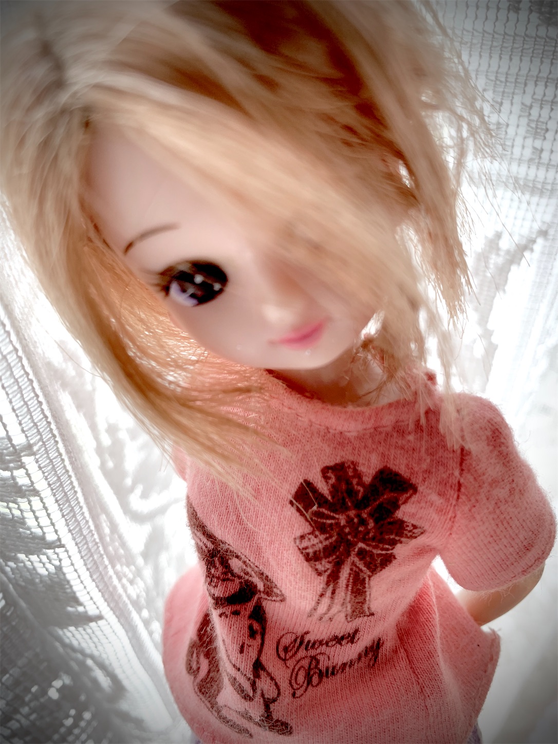 f:id:yurupita:20230705010251j:image