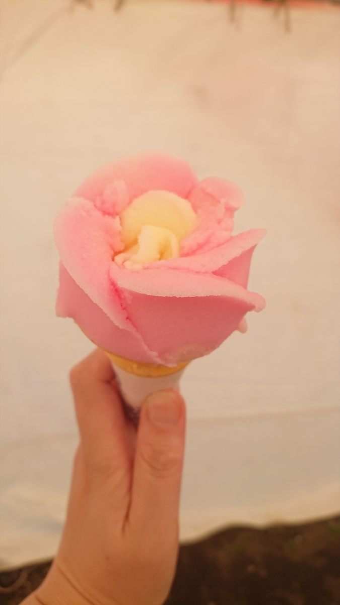 f:id:yurupule:20190615150400j:plain