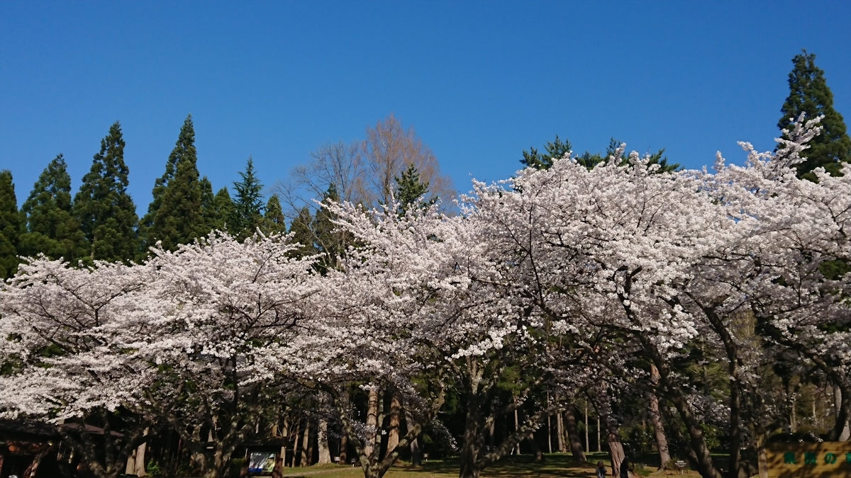 f:id:yurupule:20190615150529j:plain