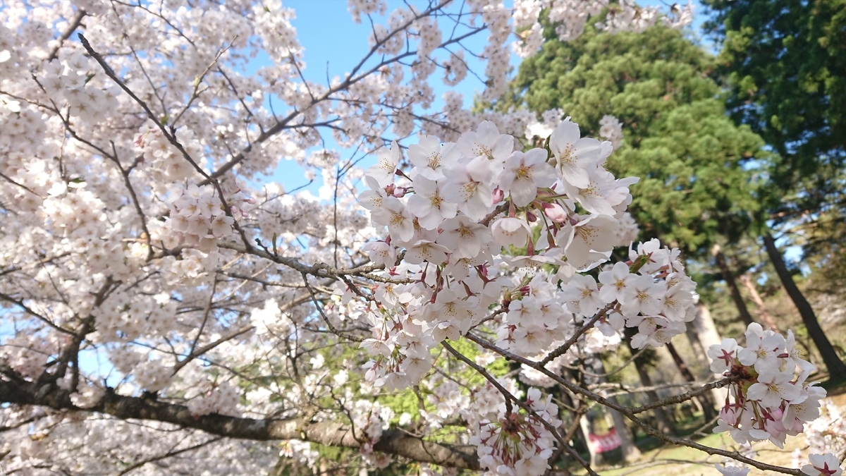 f:id:yurupule:20190615150553j:plain