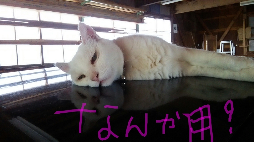 f:id:yururarin:20180812011802j:plain
