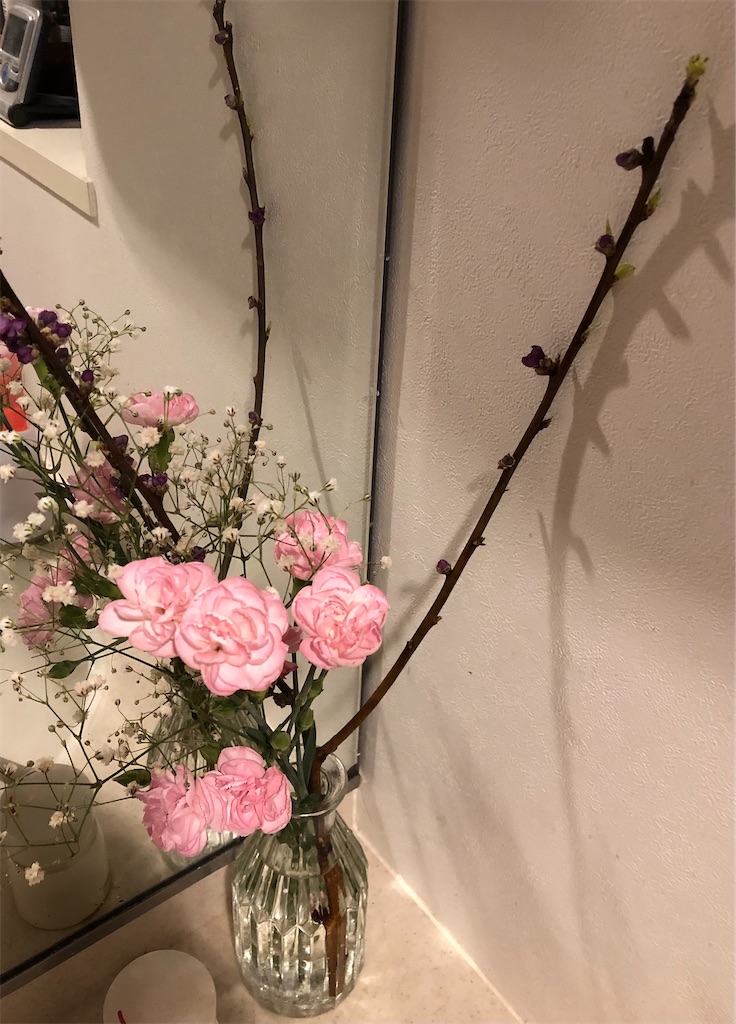 f:id:yururi3ptl:20230221111902j:image f:id:yururi3ptl:20230221111902j:image